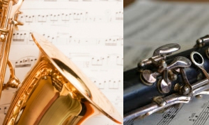 Saxophone Clarinet lessons